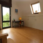 Rent 4 bedroom apartment of 219 m² in Rotterdam