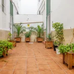 Rent 2 bedroom apartment of 70 m² in Málaga