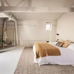 Huur 3 slaapkamer appartement van 120 m² in Amsterdam