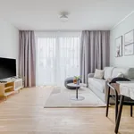 Rent 1 bedroom apartment of 538 m² in Dresden