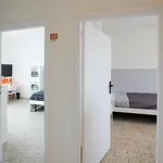 Rent 3 bedroom apartment in Naples