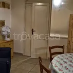 Rent 2 bedroom apartment of 45 m² in Nardò