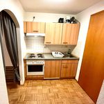 Rent 2 bedroom apartment of 40 m² in Dresden