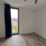 Rent 2 bedroom apartment in Londerzeel