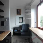 Rent 1 bedroom apartment of 24 m² in Capital City of Prague