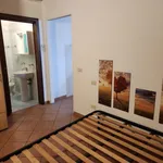 Rent 2 bedroom apartment of 30 m² in Castelfranco di Sotto