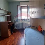 Rent 3 bedroom apartment of 80 m² in Busto Arsizio