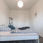 Rent a room in berlin