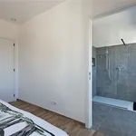  appartement avec 1 chambre(s) en location à MERCHTEM