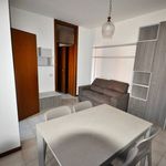 Rent 2 bedroom apartment of 40 m² in Novara