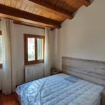 Rent 1 bedroom house of 65 m² in Rovigo