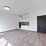 Rent 1 bedroom apartment of 35 m² in Děčín