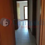 Appartamento in affitto a Sant'Elia Fiumerapido,  - Grimaldi Immobiliare