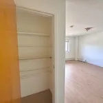 Rent 1 bedroom apartment in New York