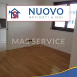 Rent 3 bedroom apartment of 100 m² in Roma