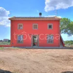 Rent 3 bedroom house of 100 m² in Viterbo