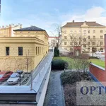 Rent 1 bedroom apartment in Capital City of Prague