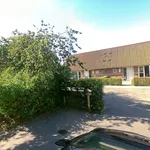 Rent 3 bedroom house of 84 m² in Brovst