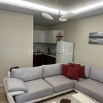 Rent 2 bedroom apartment of 50 m² in Torino