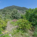 Town house in Valldemossa