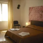 Rent 3 bedroom apartment in Pisa