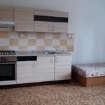 Rent 1 bedroom apartment of 35 m² in Kladno