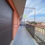 Rent 2 bedroom apartment of 60 m² in Cremona