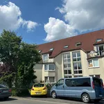 Rent 2 bedroom apartment of 35 m² in Dortmund