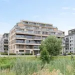 Rent 5 bedroom apartment of 73 m² in Amsterdam