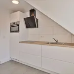 Rent 1 bedroom apartment of 50 m² in Antwerp