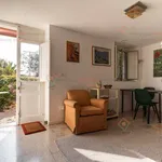 Rent 1 bedroom apartment of 45 m² in Syracuse