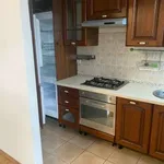 Rent 3 bedroom apartment of 65 m² in Nemi