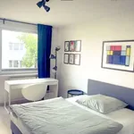 Rent 3 bedroom apartment of 100 m² in frankfurt