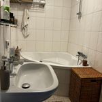 Rent 1 bedroom apartment of 46 m² in Dresden