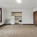 Rent 1 bedroom apartment in Windsor, ON