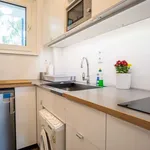 Rent 1 bedroom apartment of 30 m² in berlin