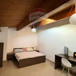 Rent 3 bedroom apartment of 100 m² in L'Aquila