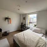 Rent a room of 12 m² in Oslo