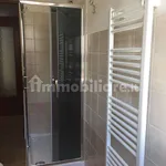 Rent 1 bedroom apartment of 28 m² in Cuorgnè