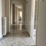 Rent 4 bedroom apartment of 140 m² in Foggia