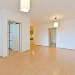 Rent 3 bedroom apartment in Brno