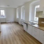 Rent 1 bedroom apartment of 70 m² in Pilsen