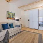 Rent 1 bedroom apartment in lisbon