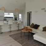 Rent 4 bedroom apartment in Manurewa