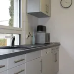 Rent 2 bedroom apartment of 85 m² in Stuttgart