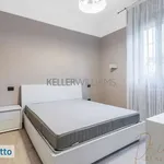 Rent 3 bedroom house of 80 m² in Milan