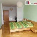 Rent 2 bedroom apartment in Capital City of Prague