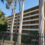 Rent 1 bedroom apartment in Victoria Park