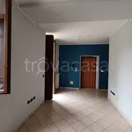 Rent 2 bedroom apartment of 55 m² in Asti