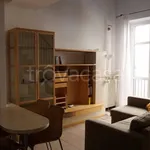 Rent 2 bedroom apartment of 55 m² in Pavia